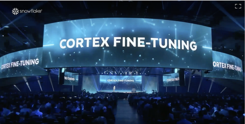 CORTEX FINE-TUNING